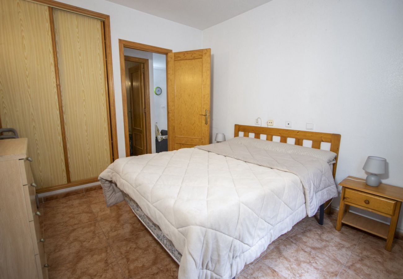 Apartment in Torrevieja - ID40