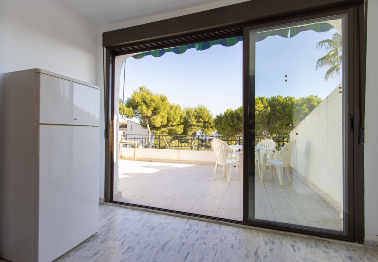 Apartment in Cabo Roig - ID53