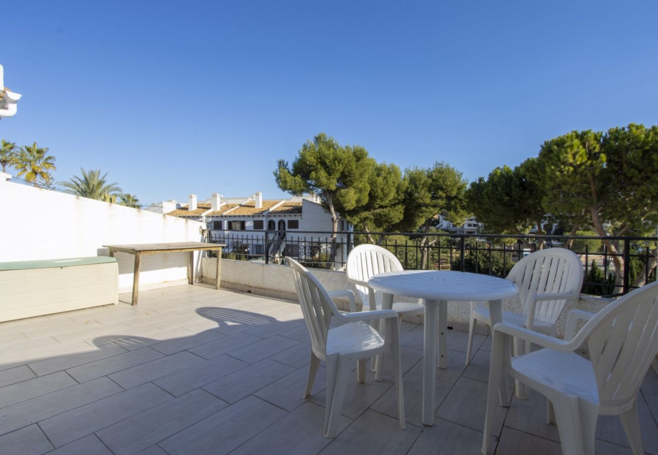 Apartment in Cabo Roig - ID53