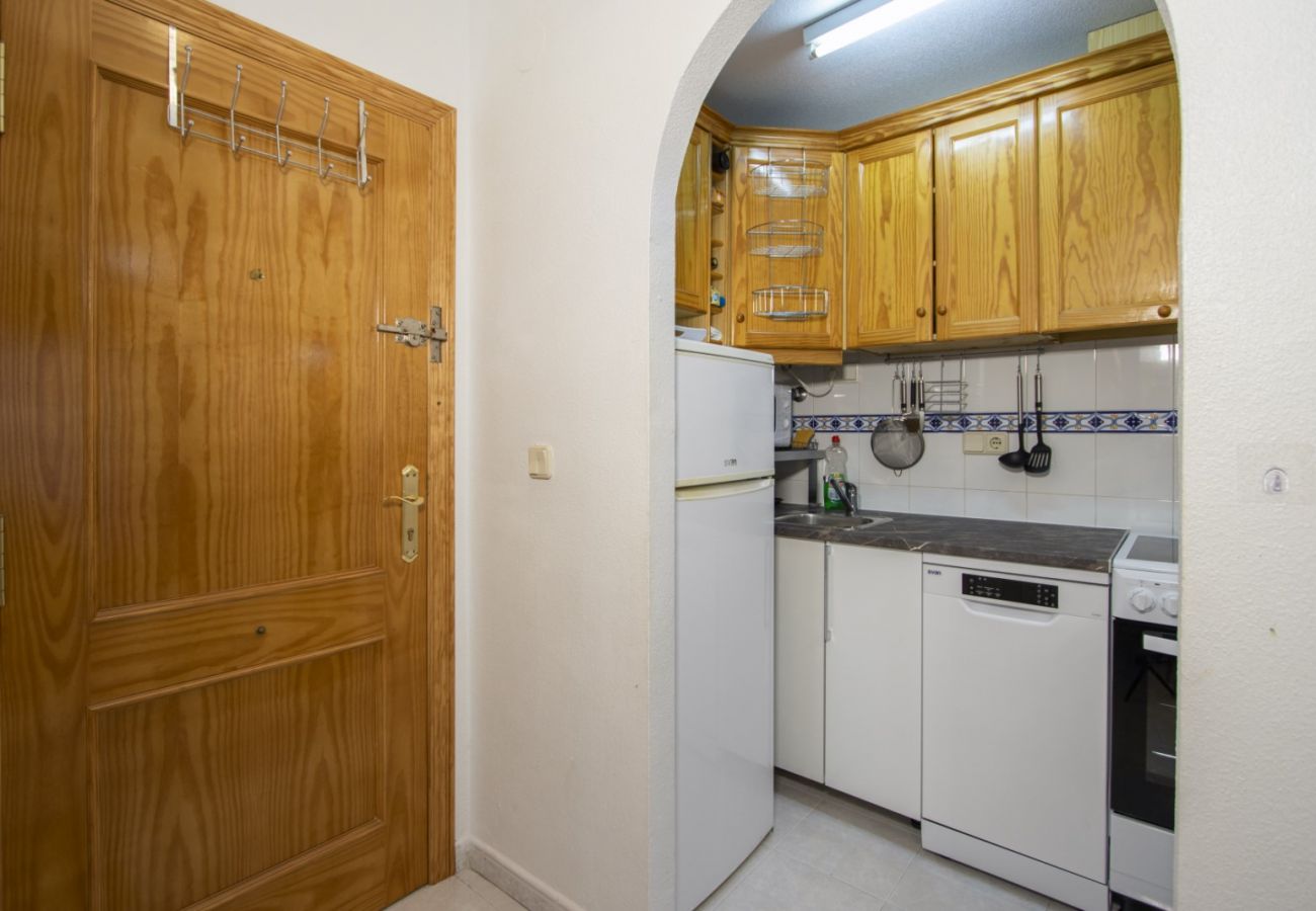 Apartment in Torrevieja - ID89