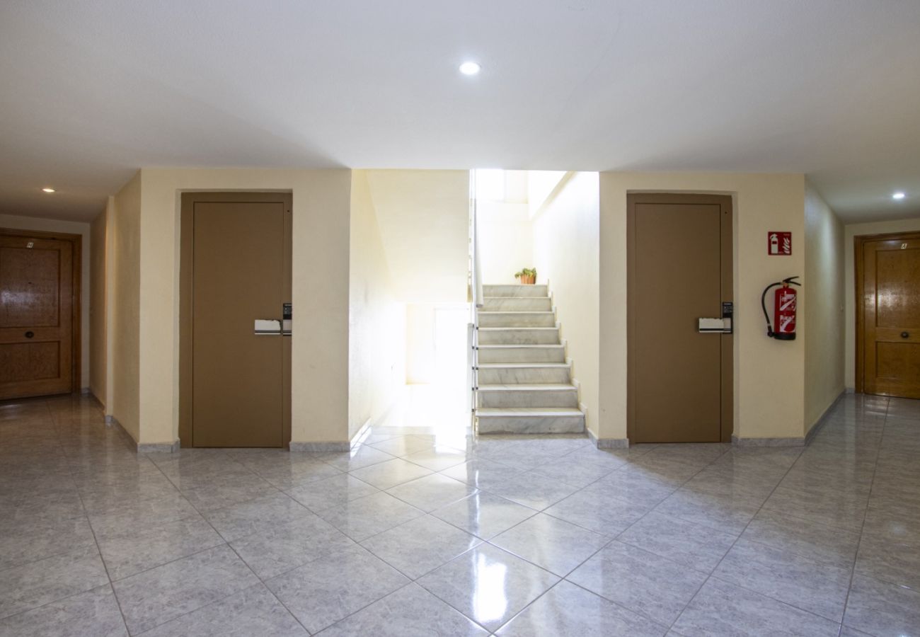 Apartment in Torrevieja - ID24