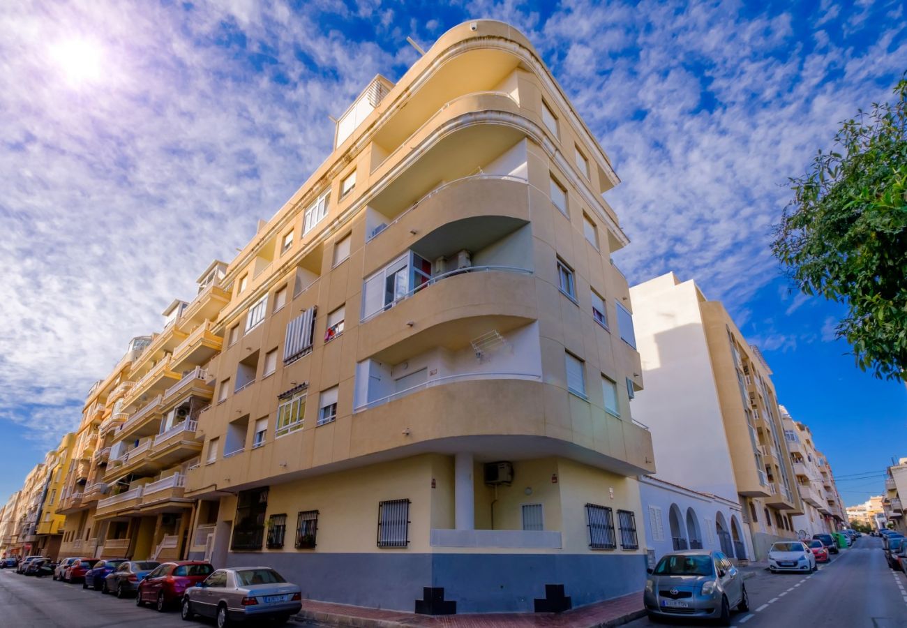 Apartment in Torrevieja - ID41