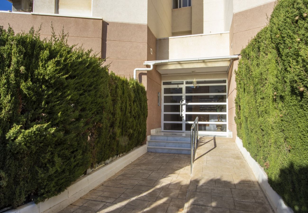 Apartment in Torrevieja - ID112