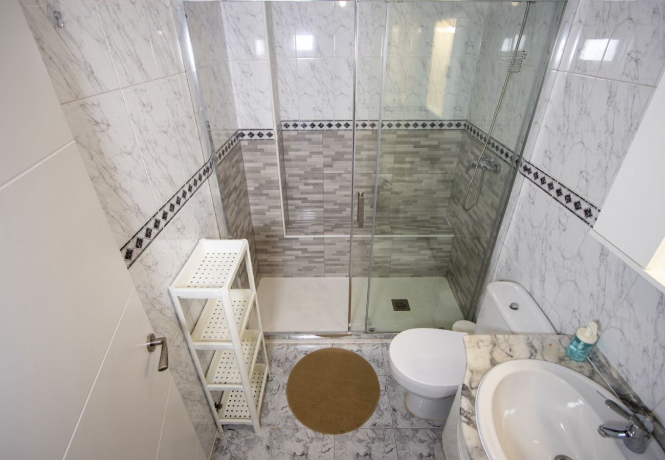 Apartment in Torrevieja - ID113