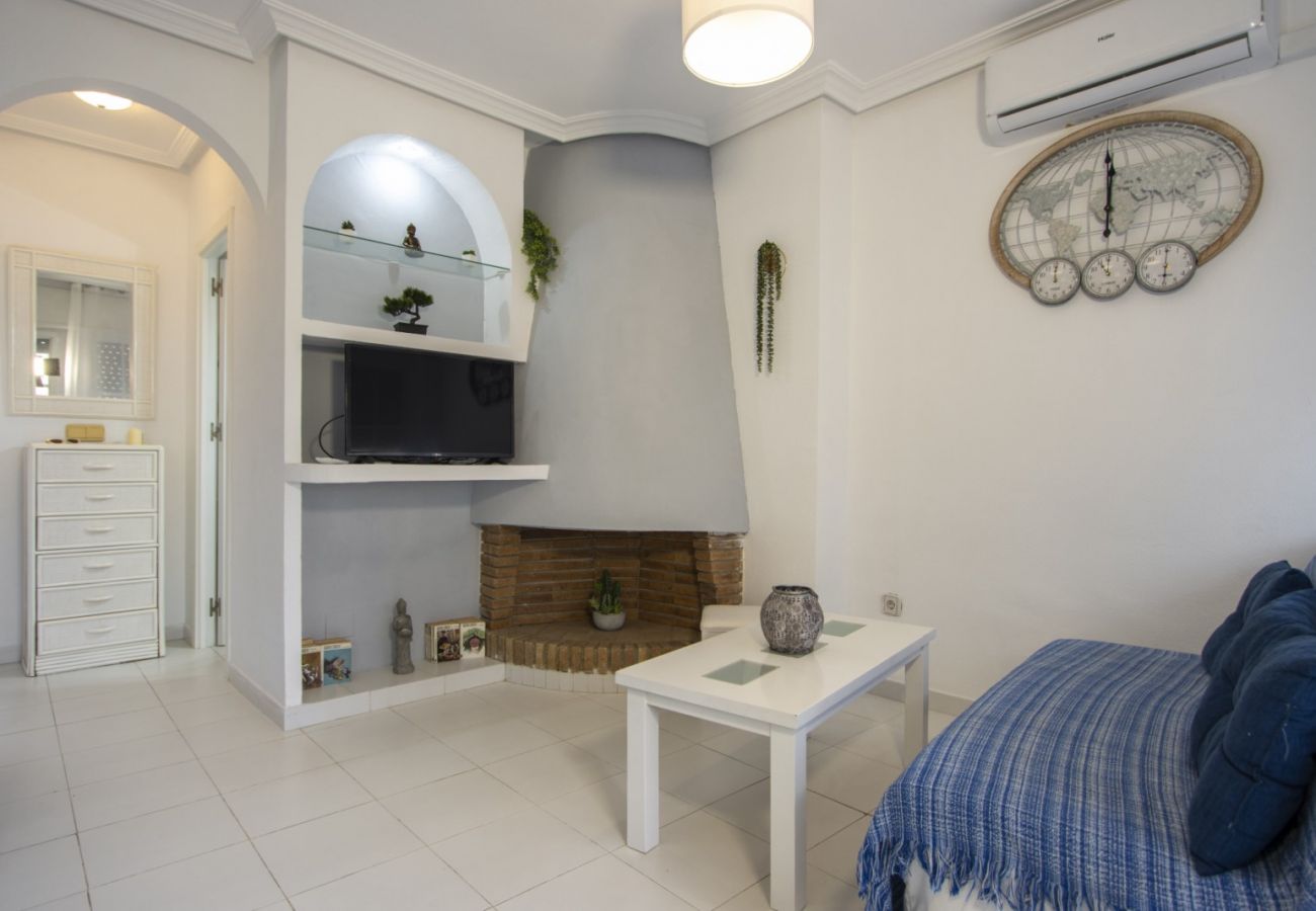 Apartment in Torrevieja - ID161