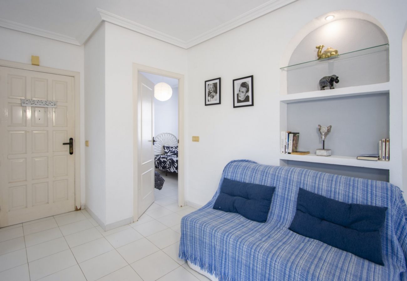 Apartment in Torrevieja - ID161