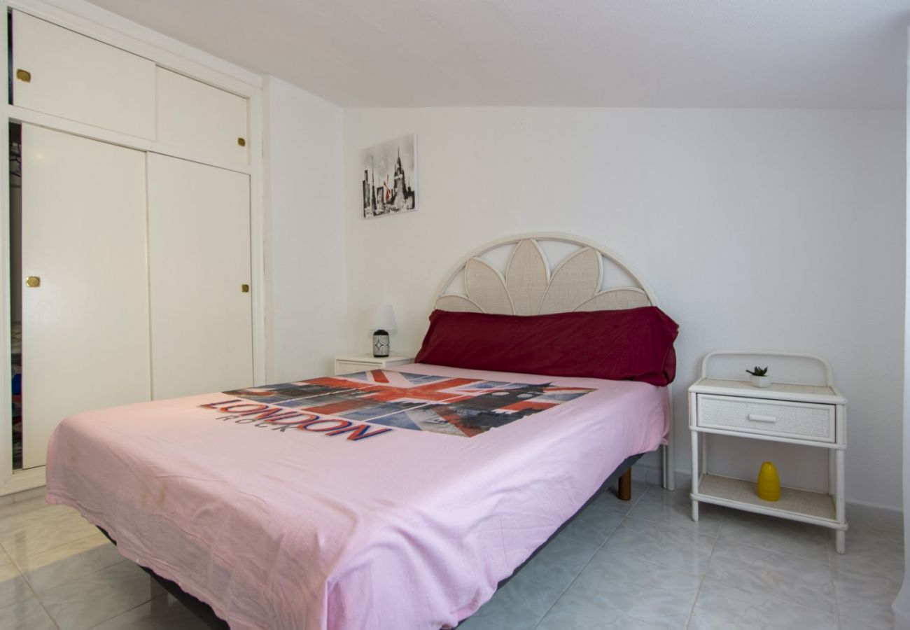 Apartment in Torrevieja - ID161