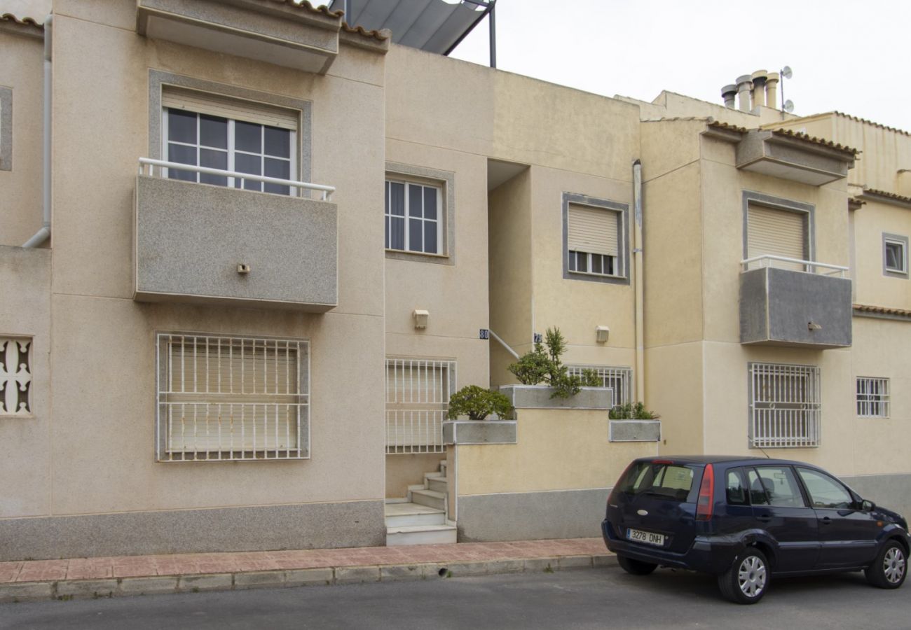 Apartment in Torrevieja - ID161