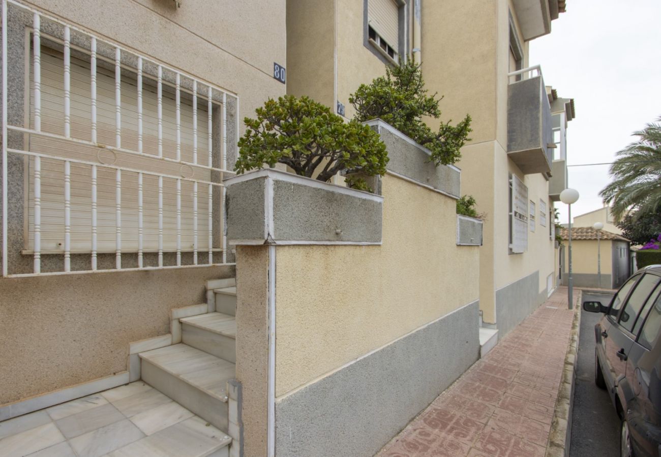 Apartment in Torrevieja - ID161