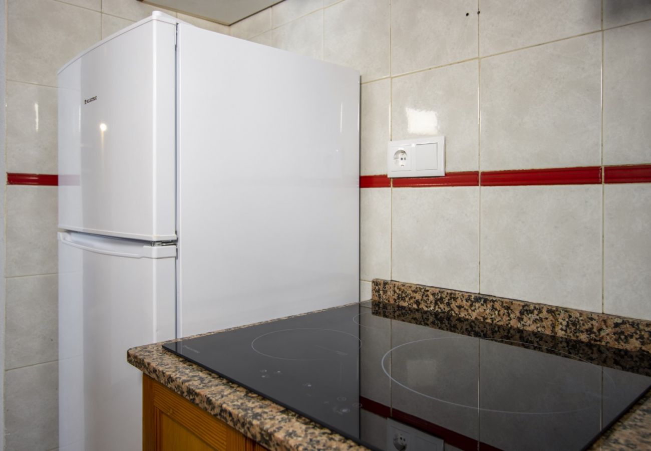 Apartment in Torrevieja - ID31