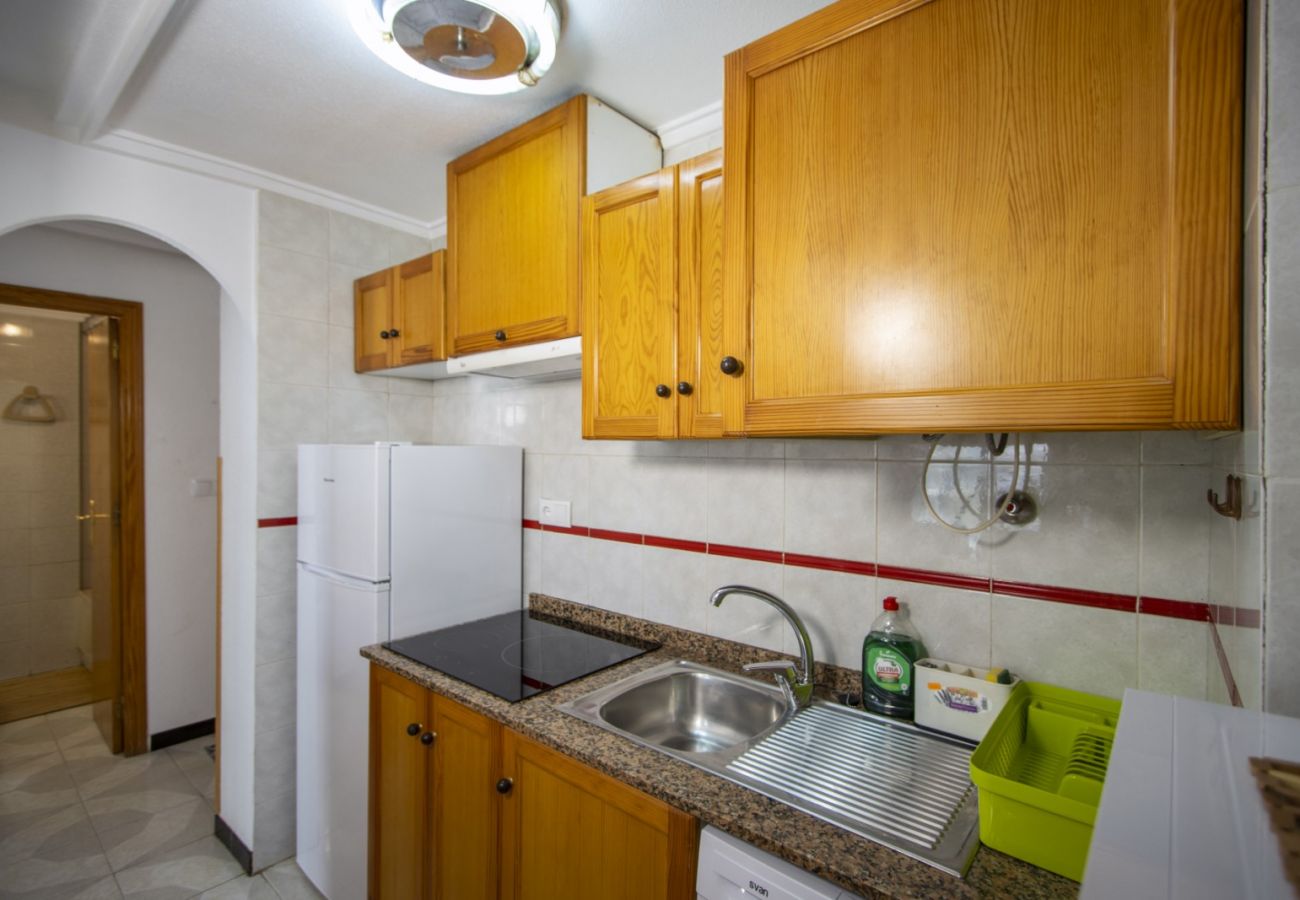 Apartment in Torrevieja - ID31