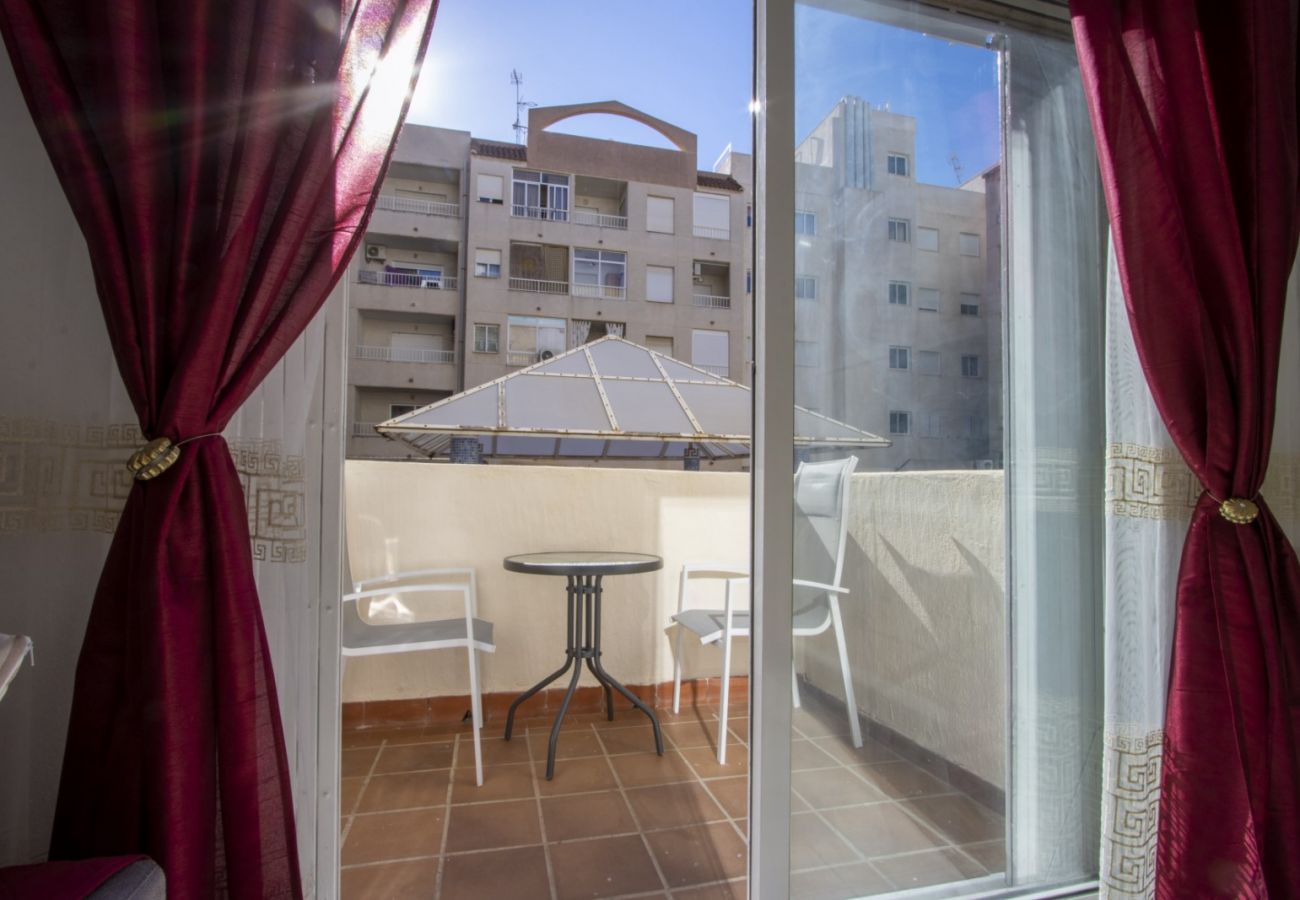 Apartment in Torrevieja - ID31