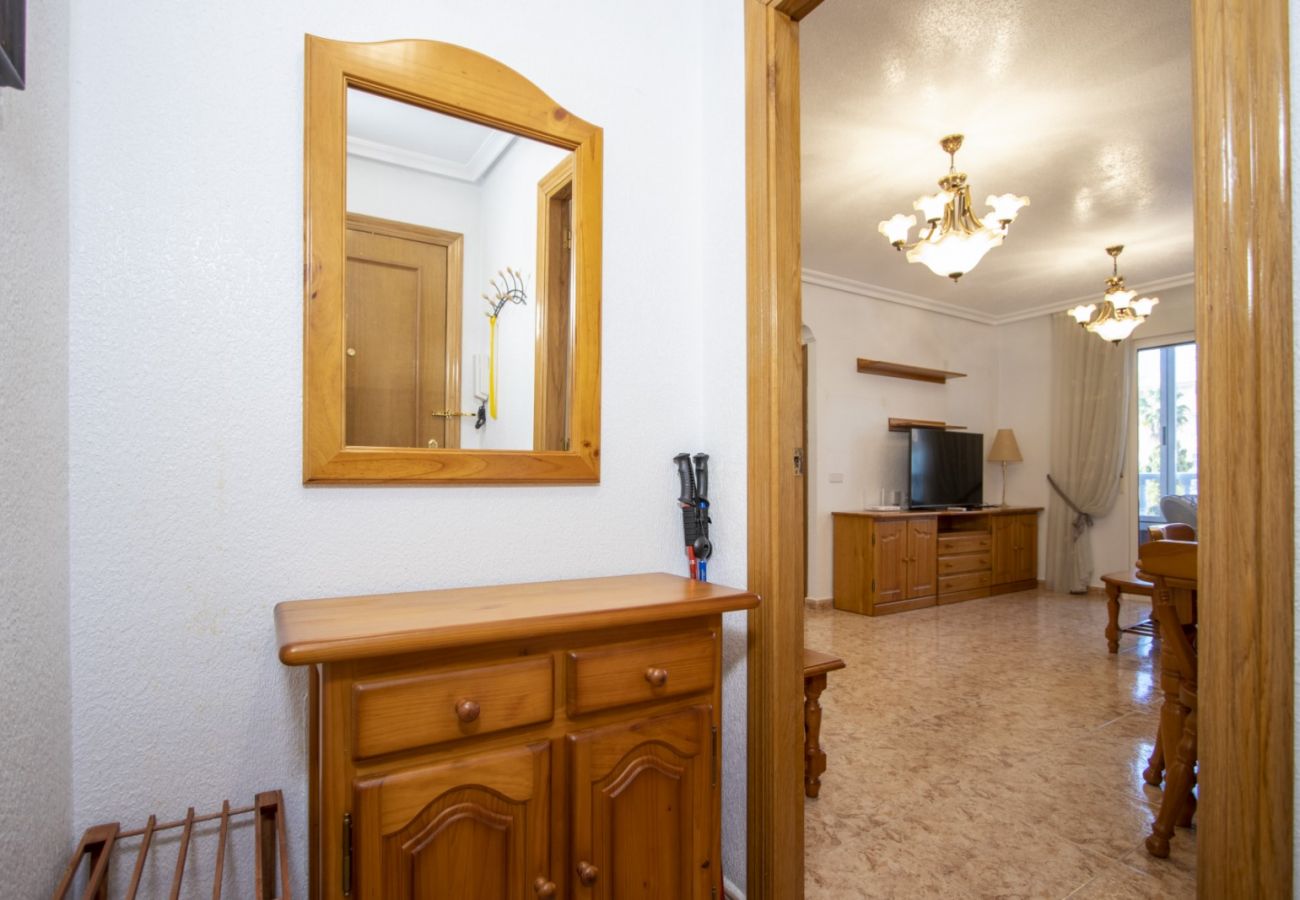 Apartment in Torrevieja - ID166