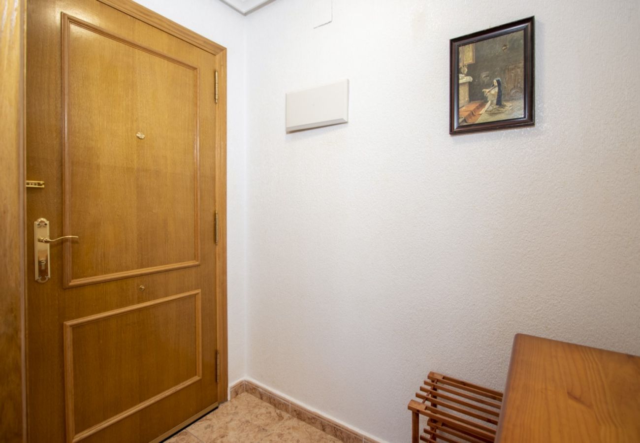 Apartment in Torrevieja - ID166