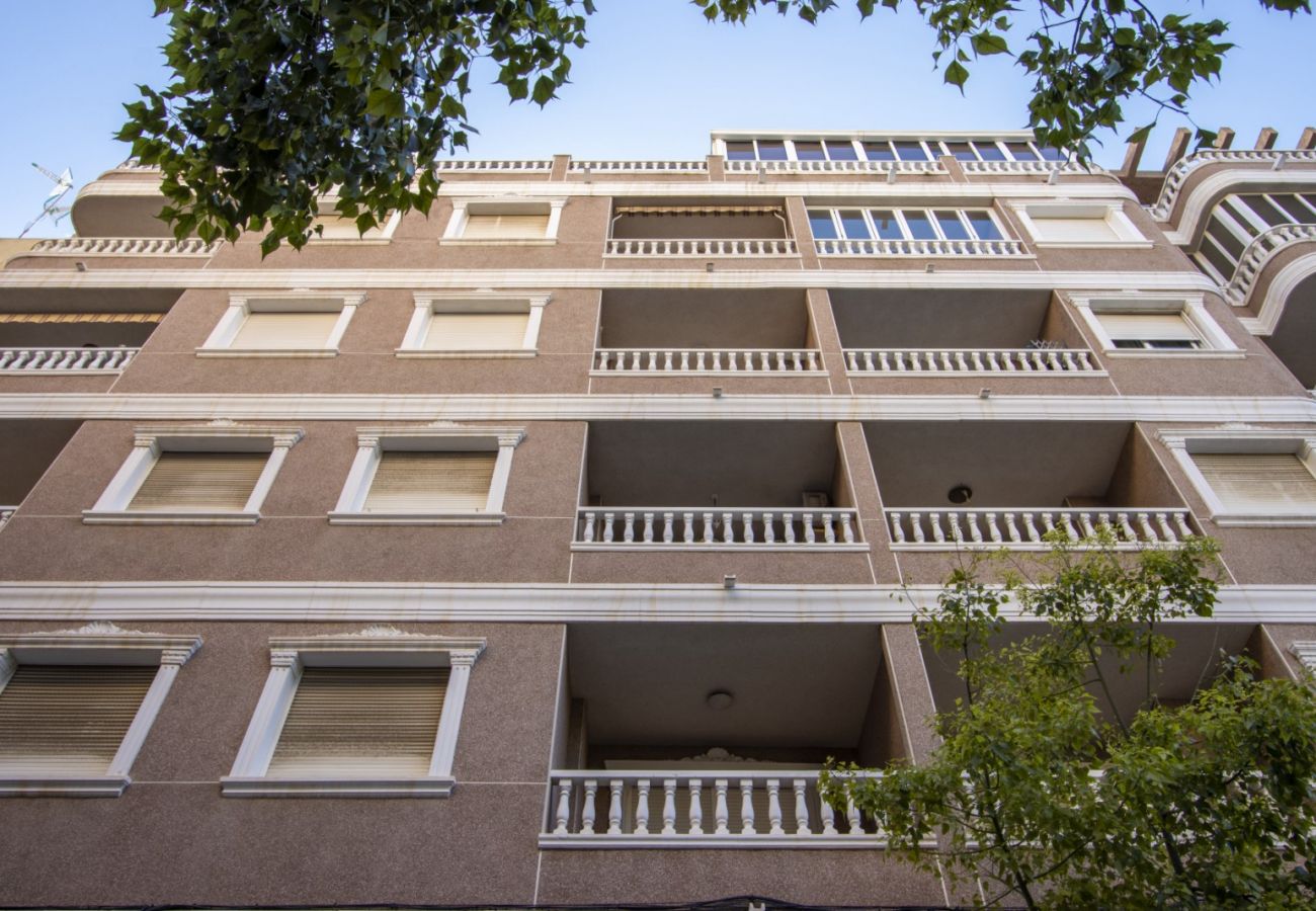 Apartment in Torrevieja - ID166