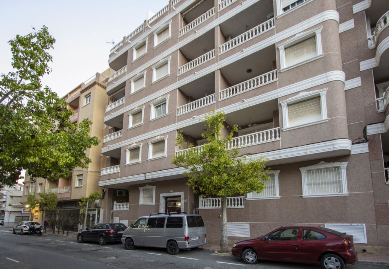 Apartment in Torrevieja - ID166