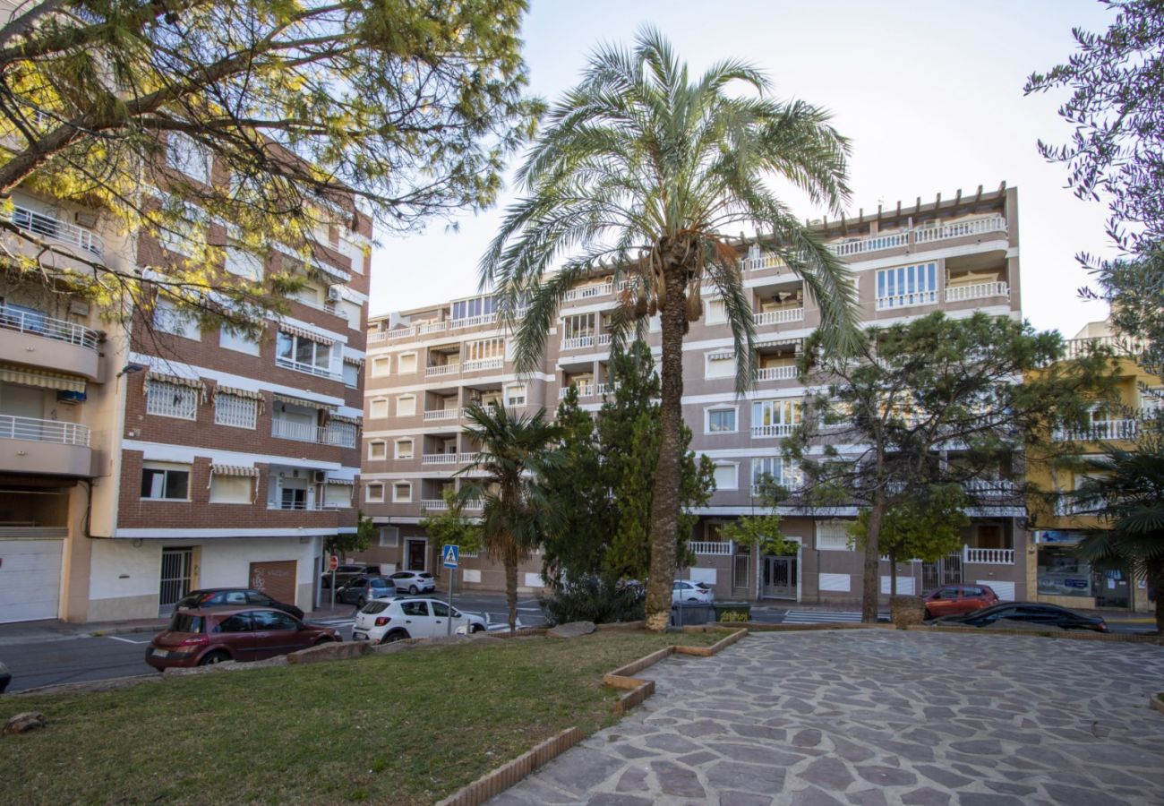 Apartment in Torrevieja - ID166