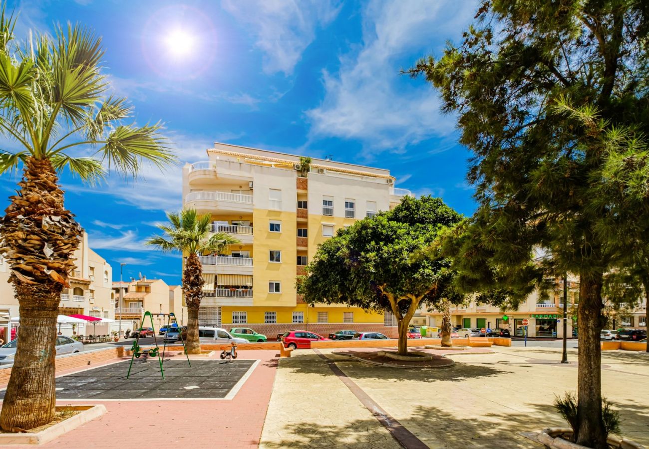 Apartment in Torrevieja - ID58