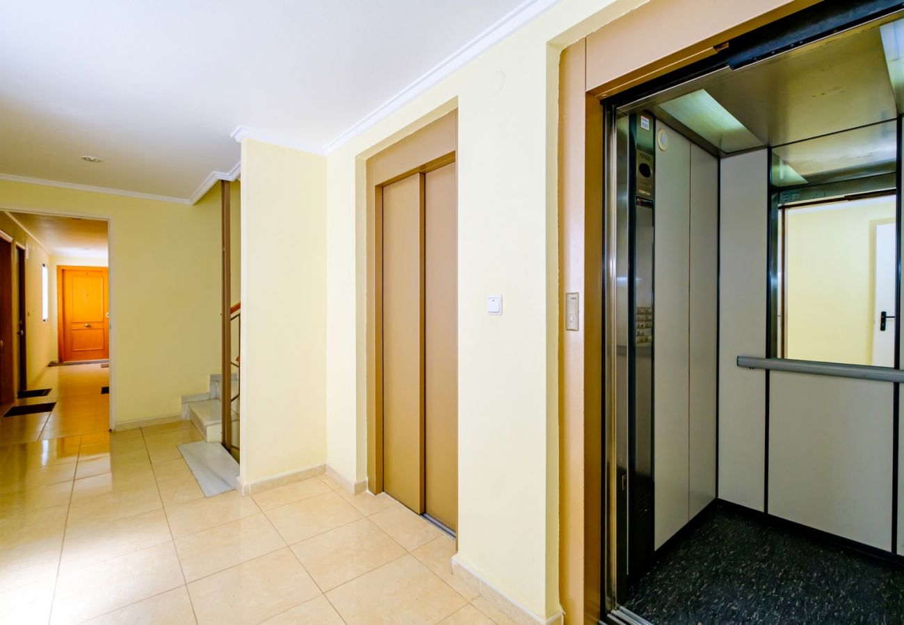 Apartment in Torrevieja - ID34