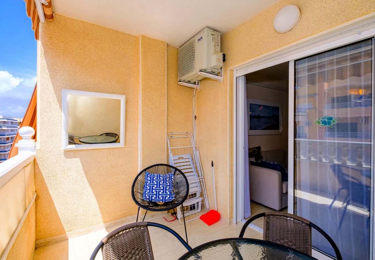 Apartment in Torrevieja - ID34