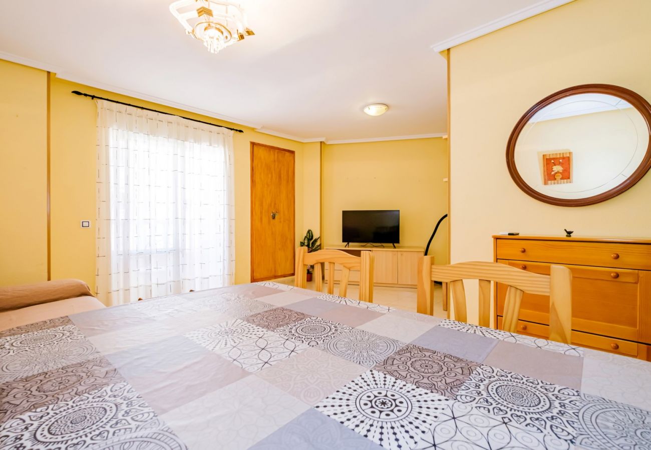 Apartment in Torrevieja - ID91