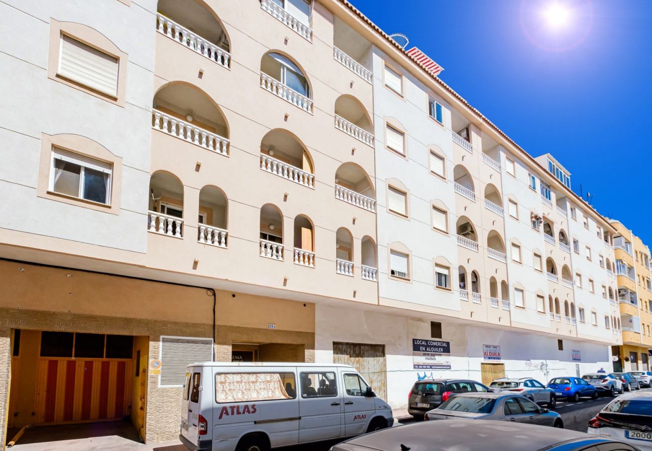 Apartment in Torrevieja - ID91