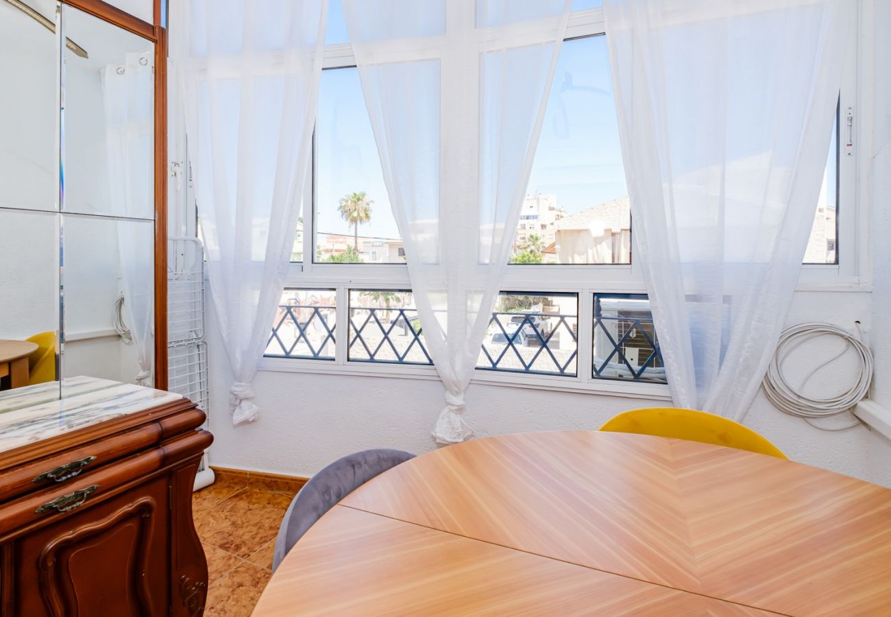 Apartment in Torrevieja - ID79