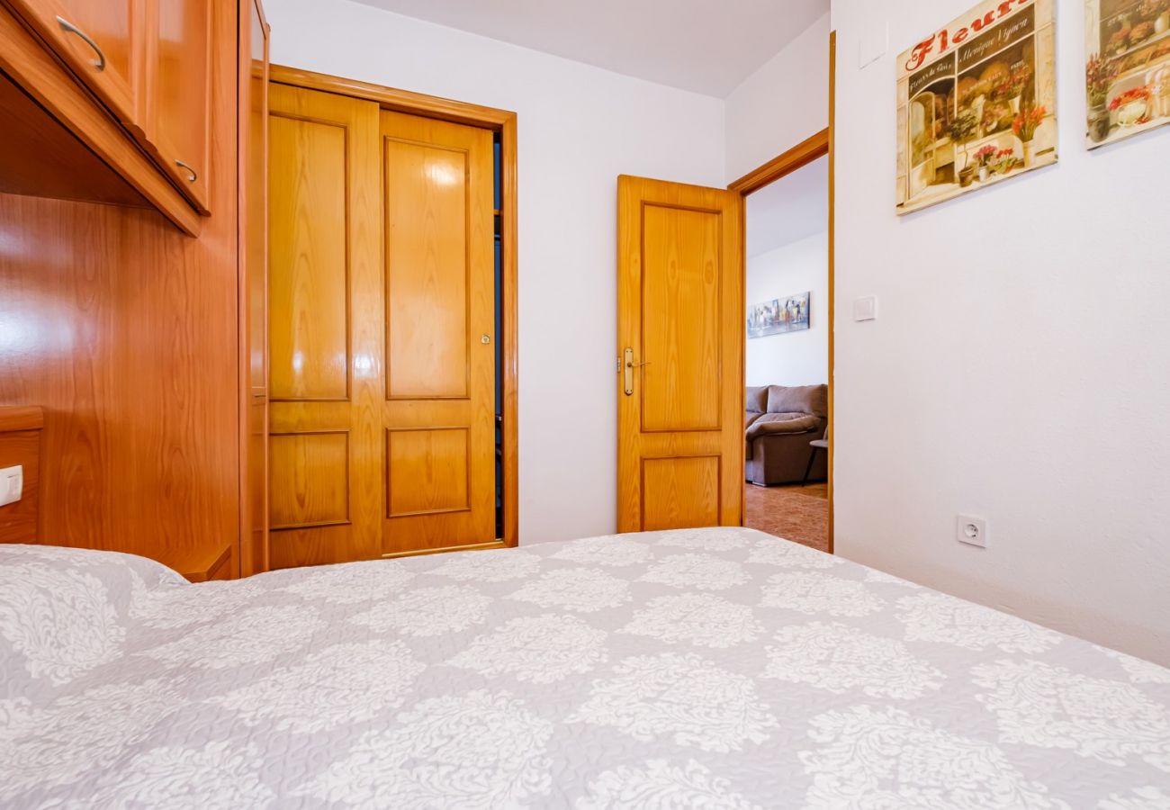 Apartment in Torrevieja - ID79