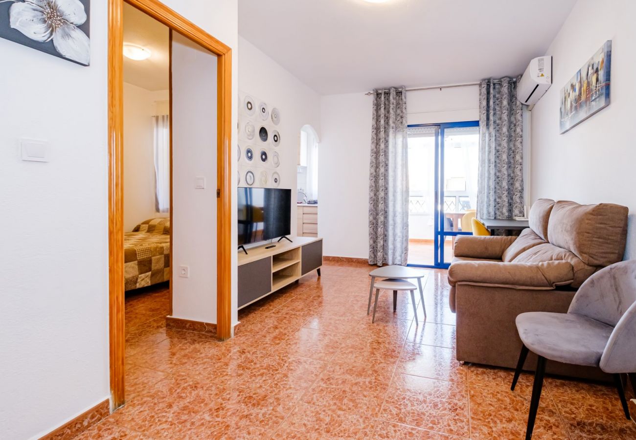 Apartment in Torrevieja - ID79