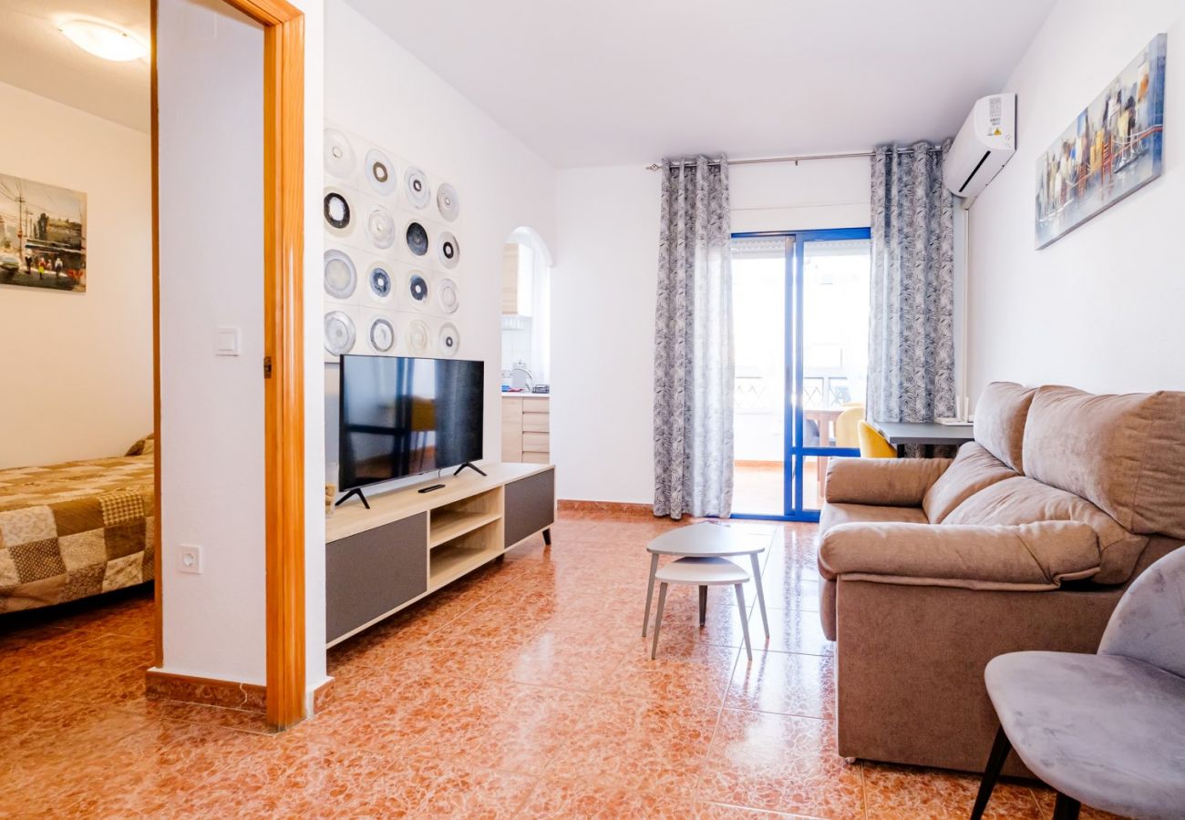 Apartment in Torrevieja - ID79