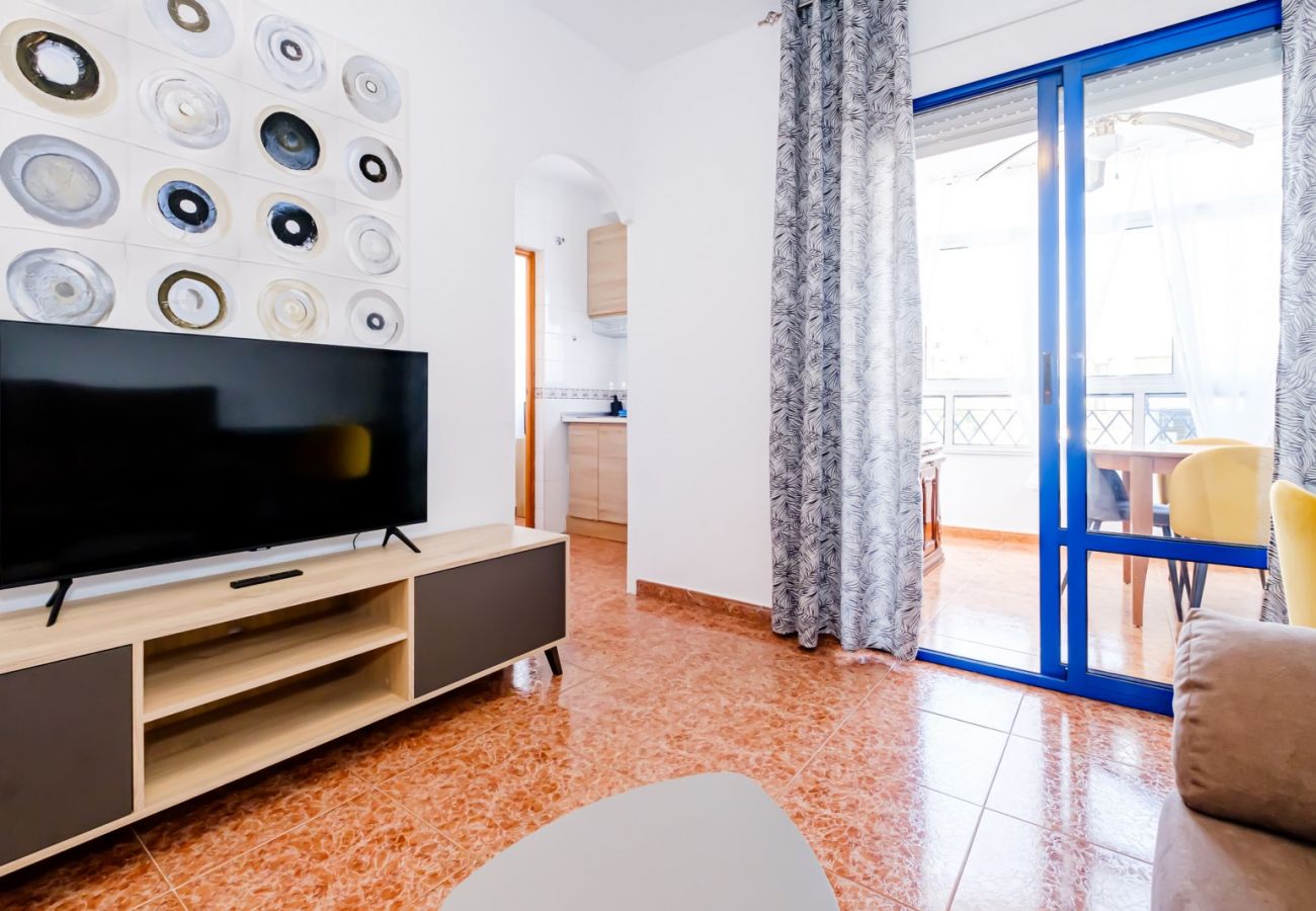 Apartment in Torrevieja - ID79