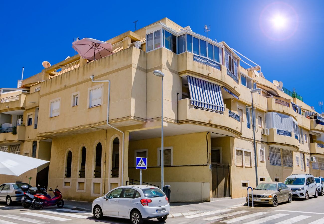 Apartment in Torrevieja - ID79