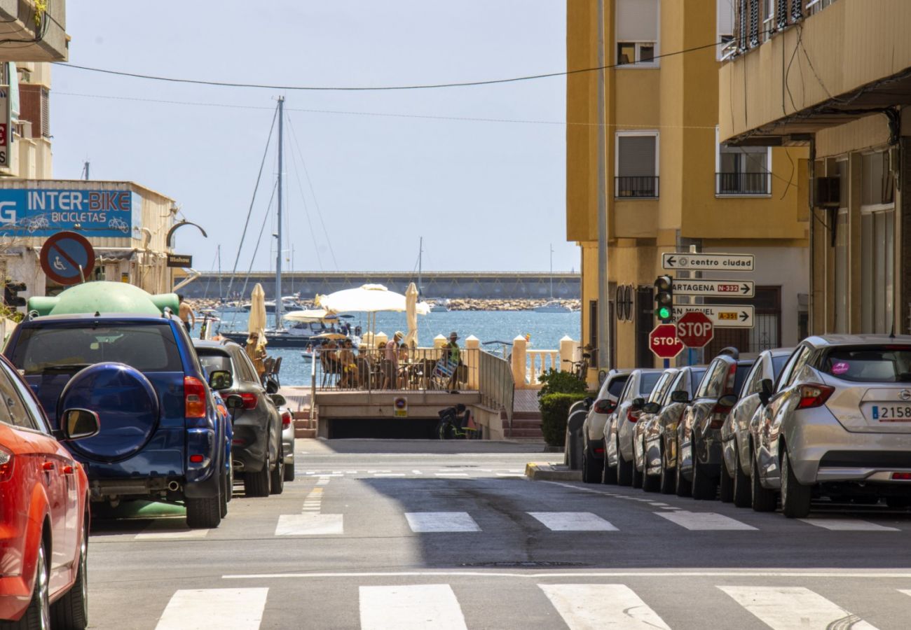 Apartment in Torrevieja - ID194