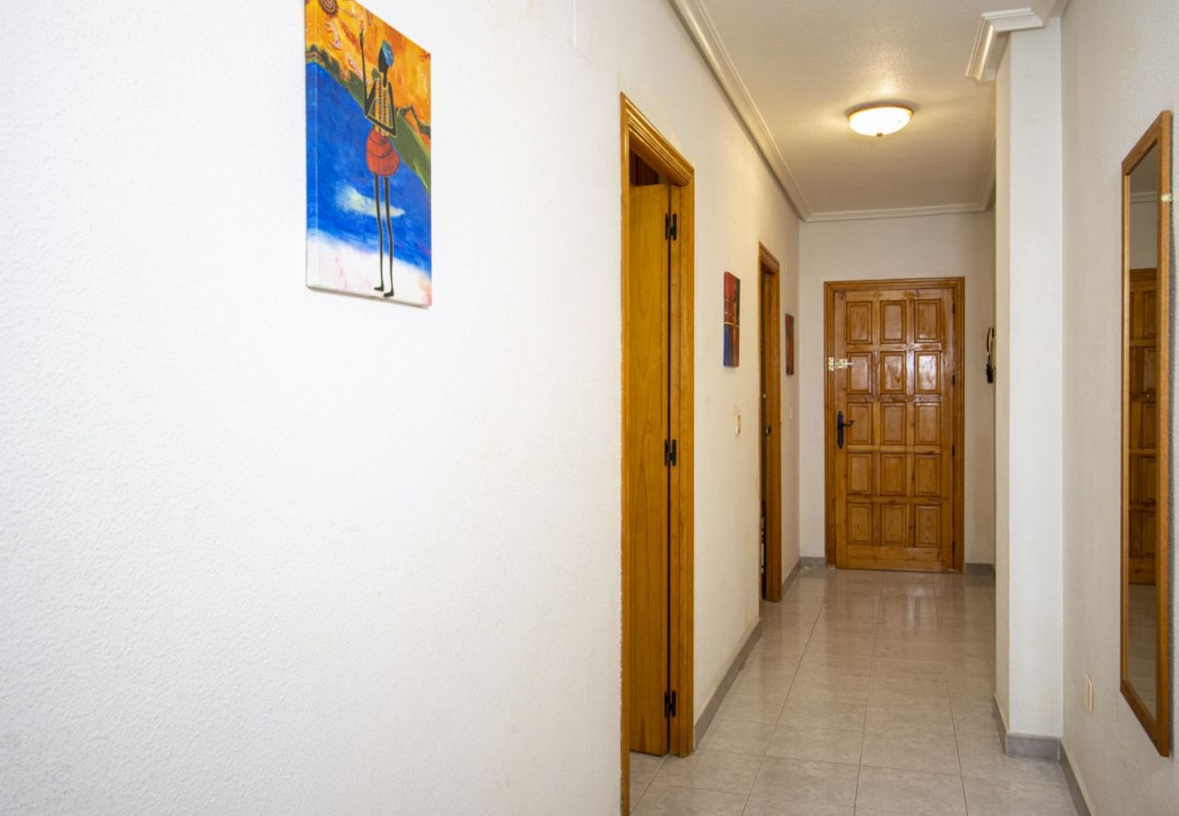 Apartment in Torrevieja - ID78