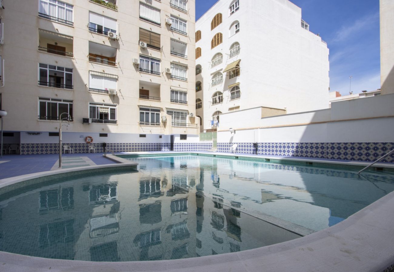 Apartment in Torrevieja - ID78