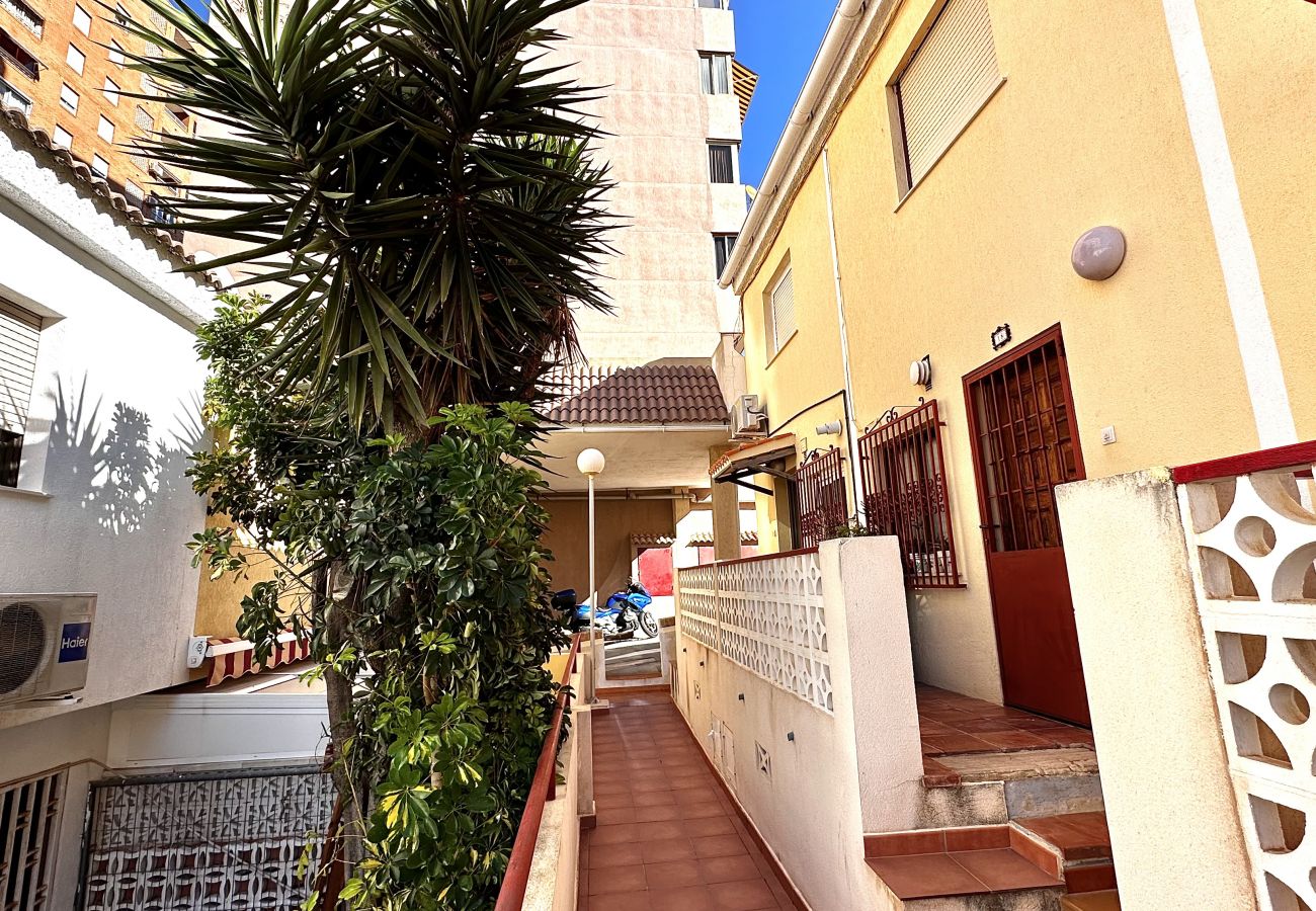 Bungalow in Benidorm - BUNGALOW PLAYA PONIENTE BENIDORM