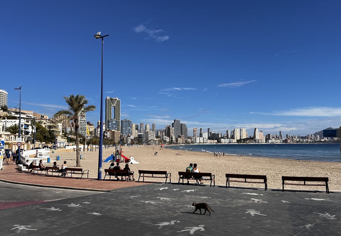 Bungalow in Benidorm - BUNGALOW PLAYA PONIENTE BENIDORM