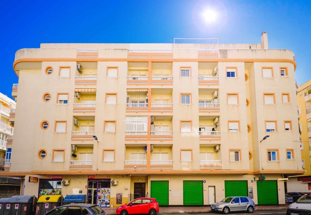 Apartment in Torrevieja - ID48