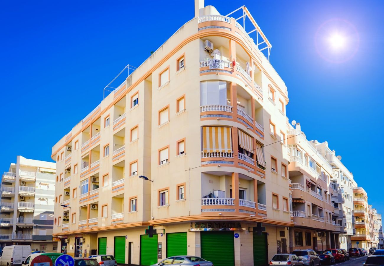 Apartment in Torrevieja - ID48