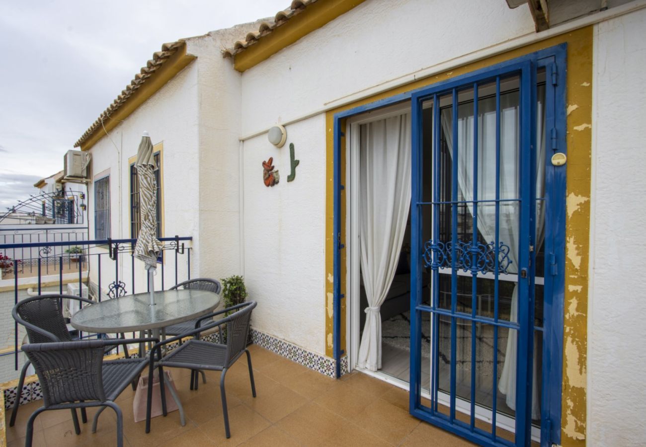 Apartment in Torrevieja - ID81