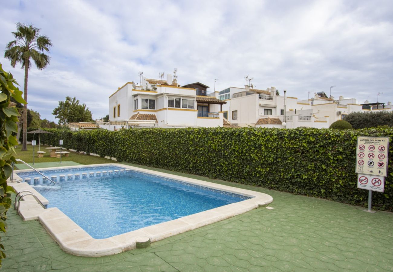 Apartment in Torrevieja - ID81