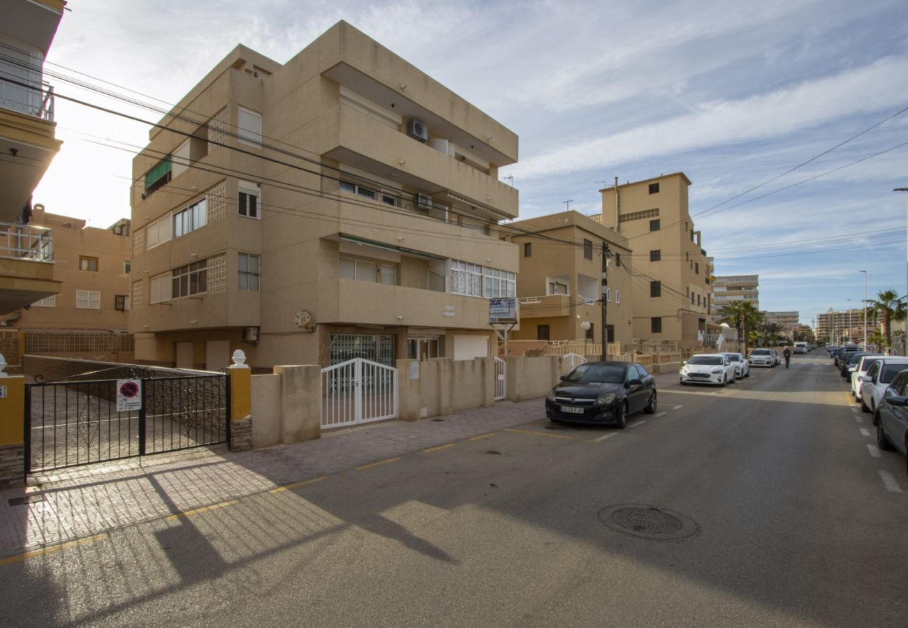 Apartment in La Mata - ID98