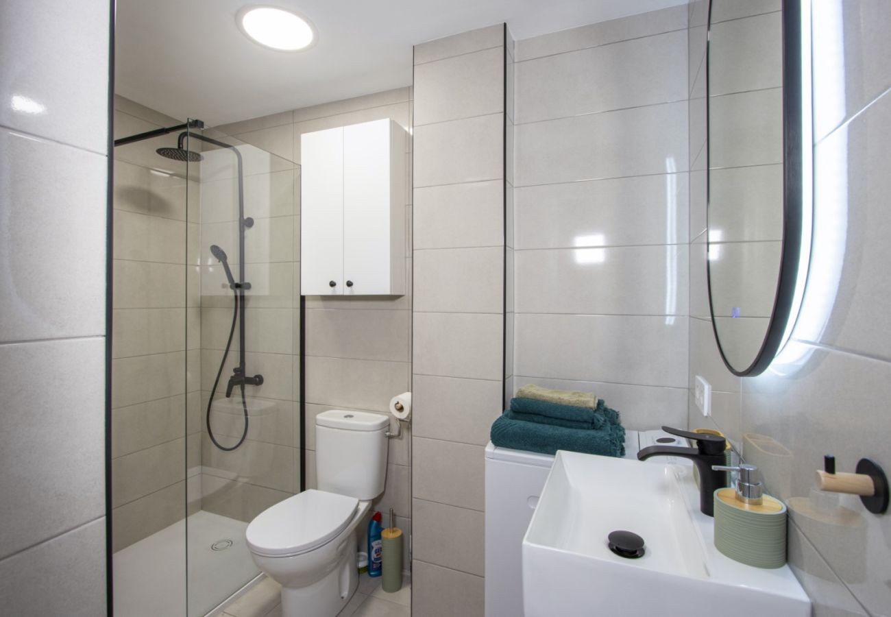 Apartment in Torrevieja - ID86