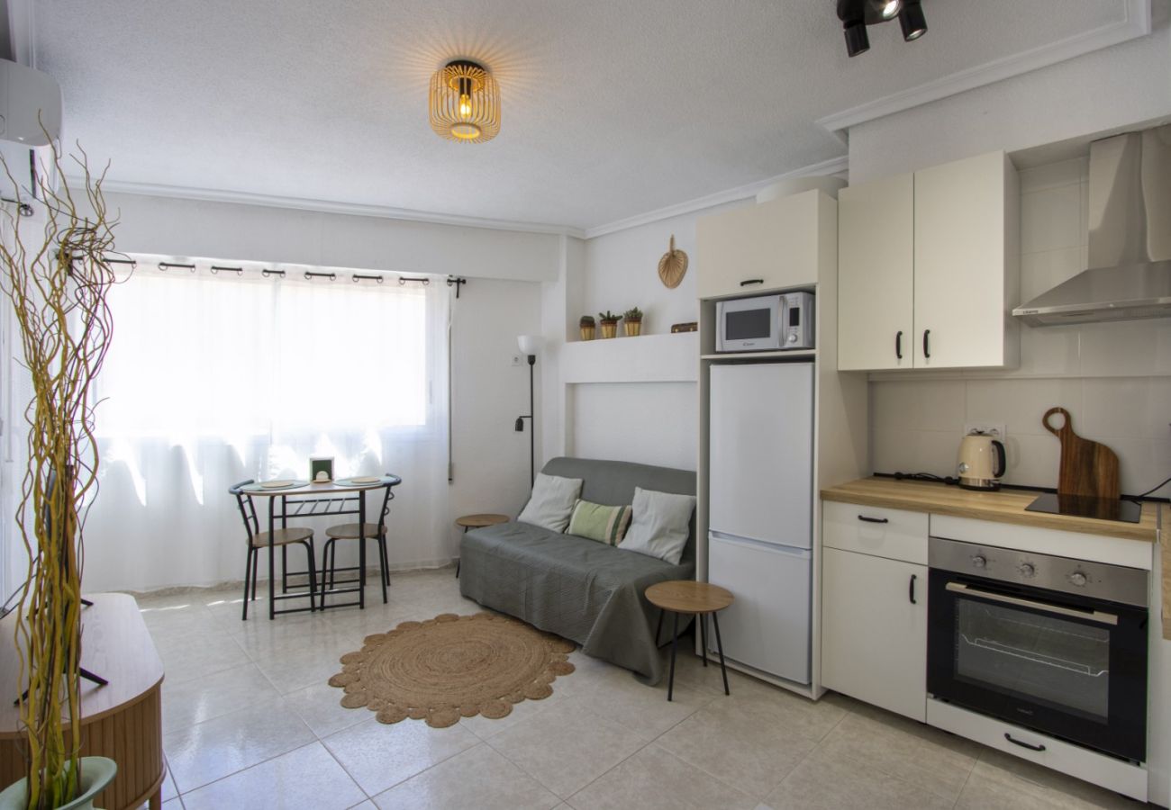 Apartment in Torrevieja - ID86