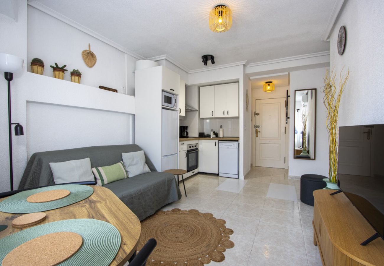 Apartment in Torrevieja - ID86