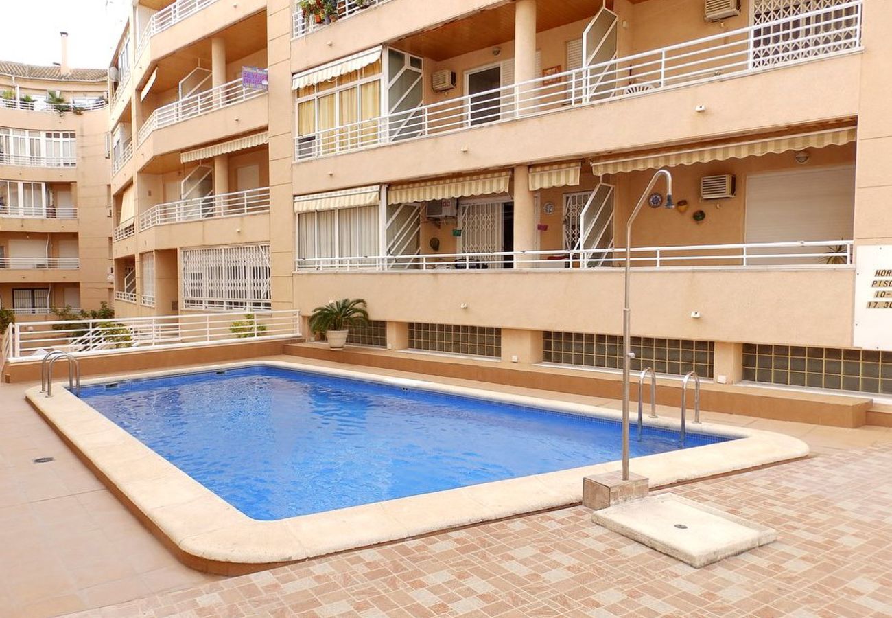 Apartment in Torrevieja - ID86