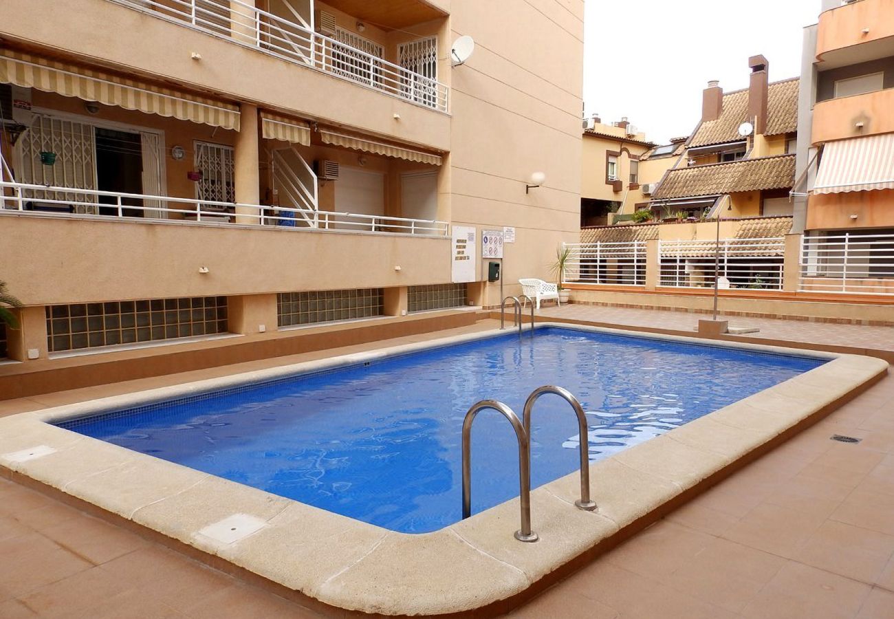 Apartment in Torrevieja - ID86