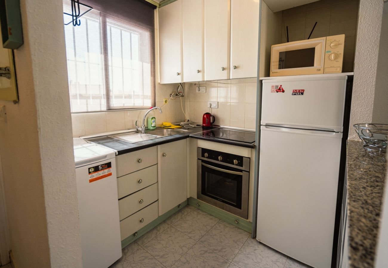 Apartment in Torrevieja - ID142