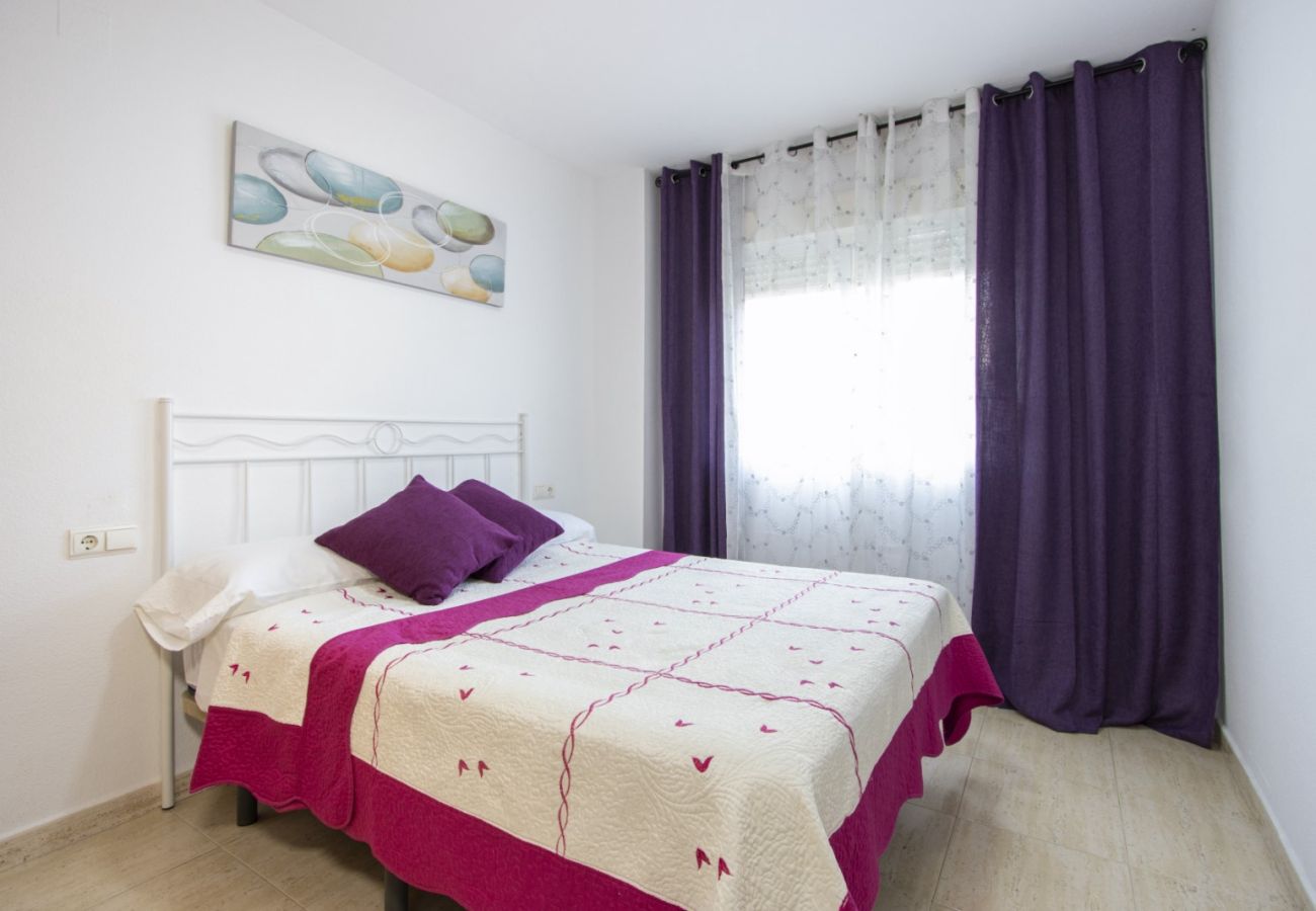 Apartment in Torrevieja - ID104