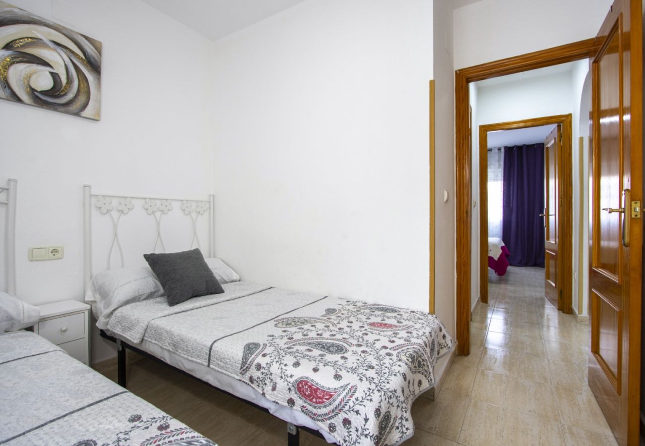 Apartment in Torrevieja - ID104